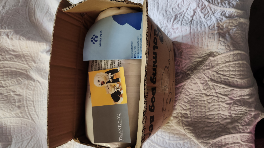 dog bed size( L) NEW for sofas couches image indicator(9)