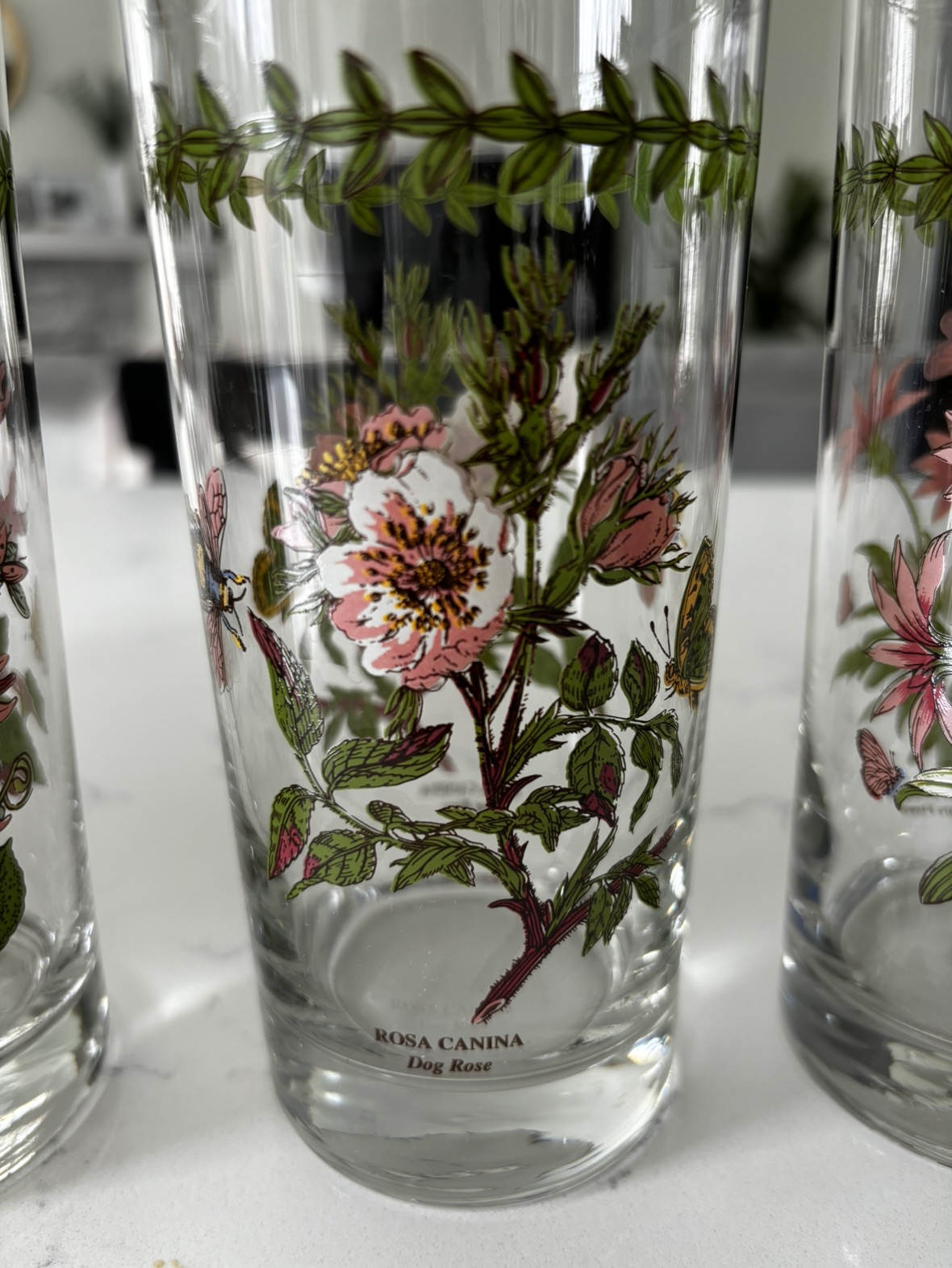 BRAND NEW - 4 Portmeirion glasses (15oz) image indicator(6)