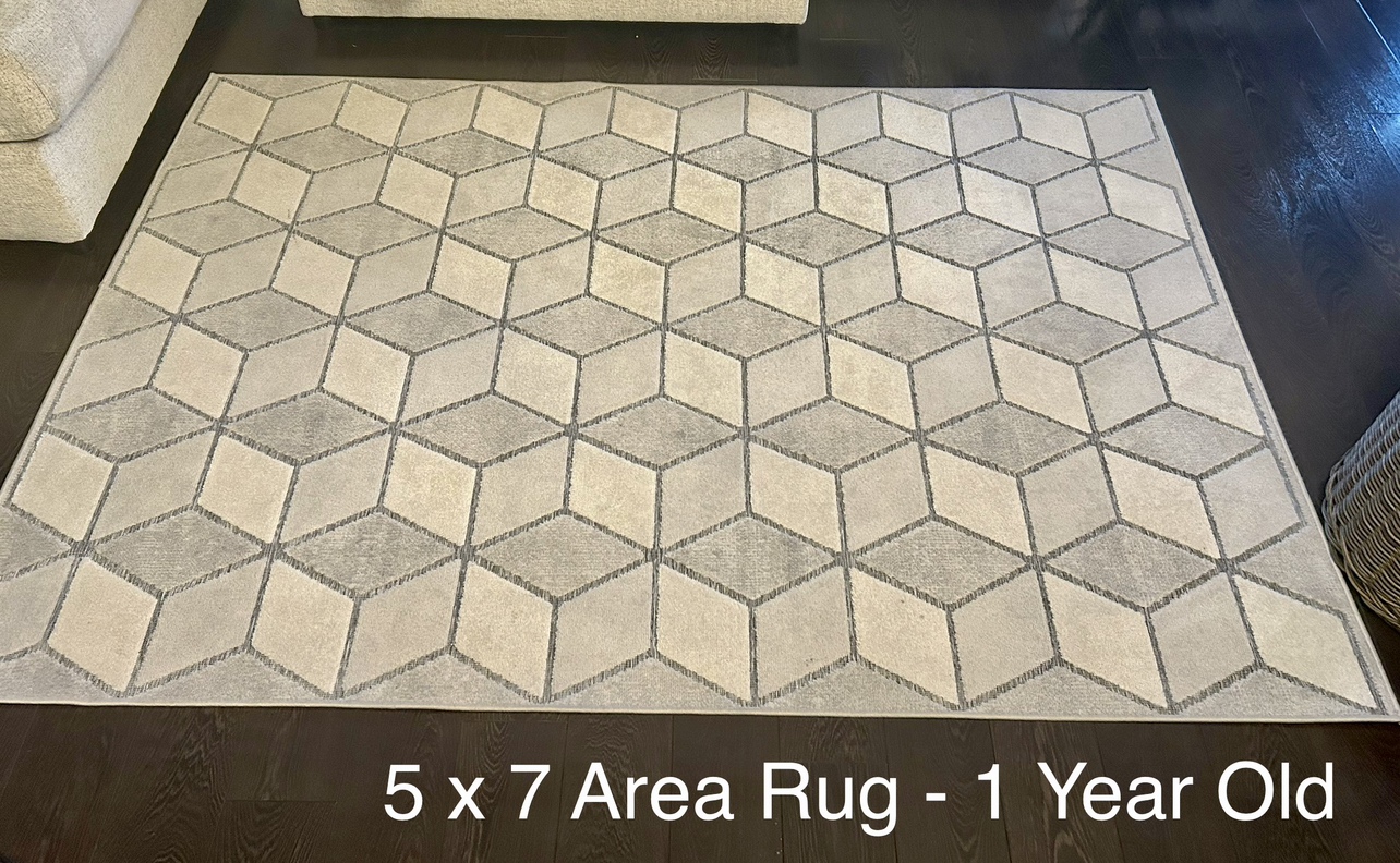 5x7 Area Rug - Indoor/Outdoor