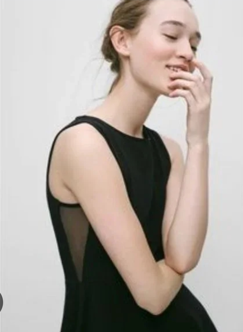Aritzia Talula skater dress sz M