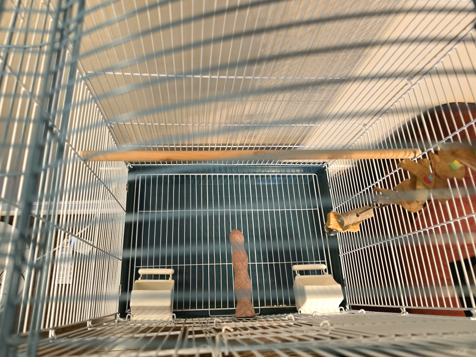 Prevue Medium Pagoda Roof BIRD CAGE w/ Stand, accessories 🥕 image indicator(7)