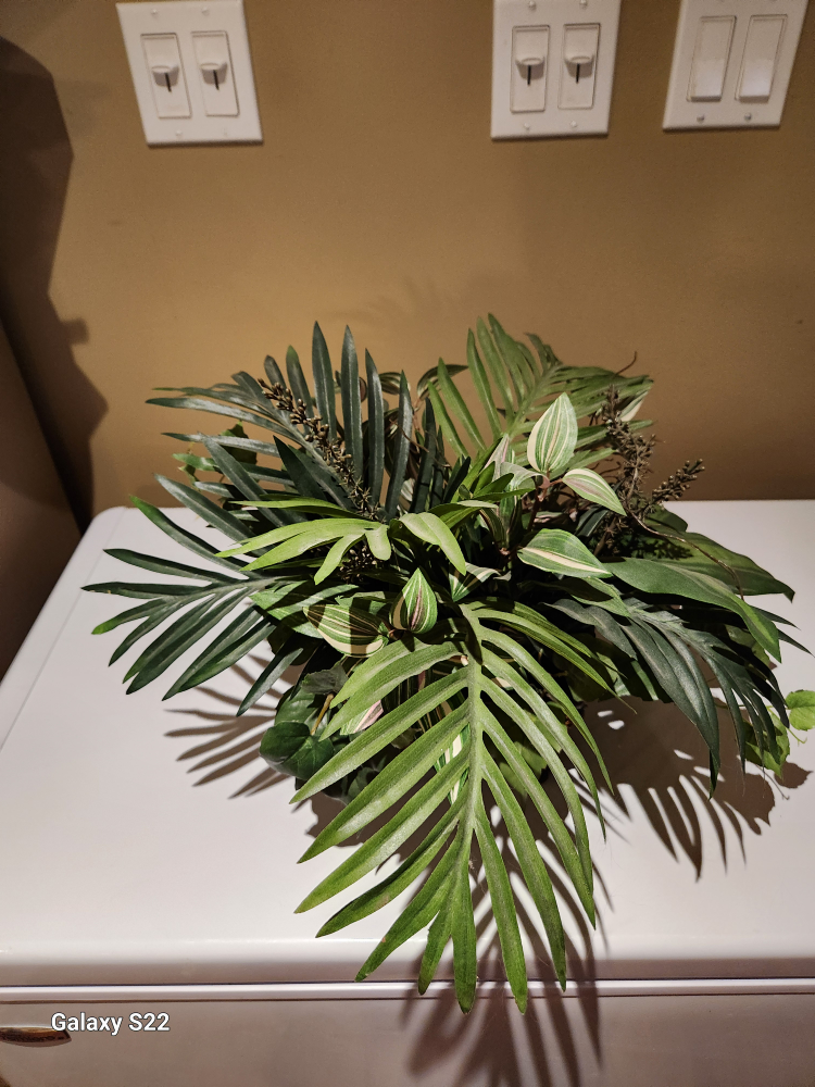 Fabric plants