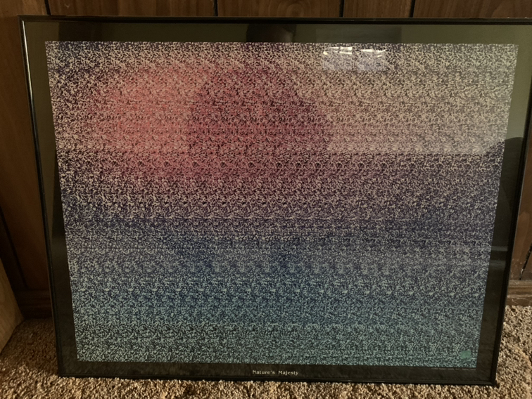 Vintage Framed 3D Hidden Illusion Art -Collectible-2 available image indicator(5)