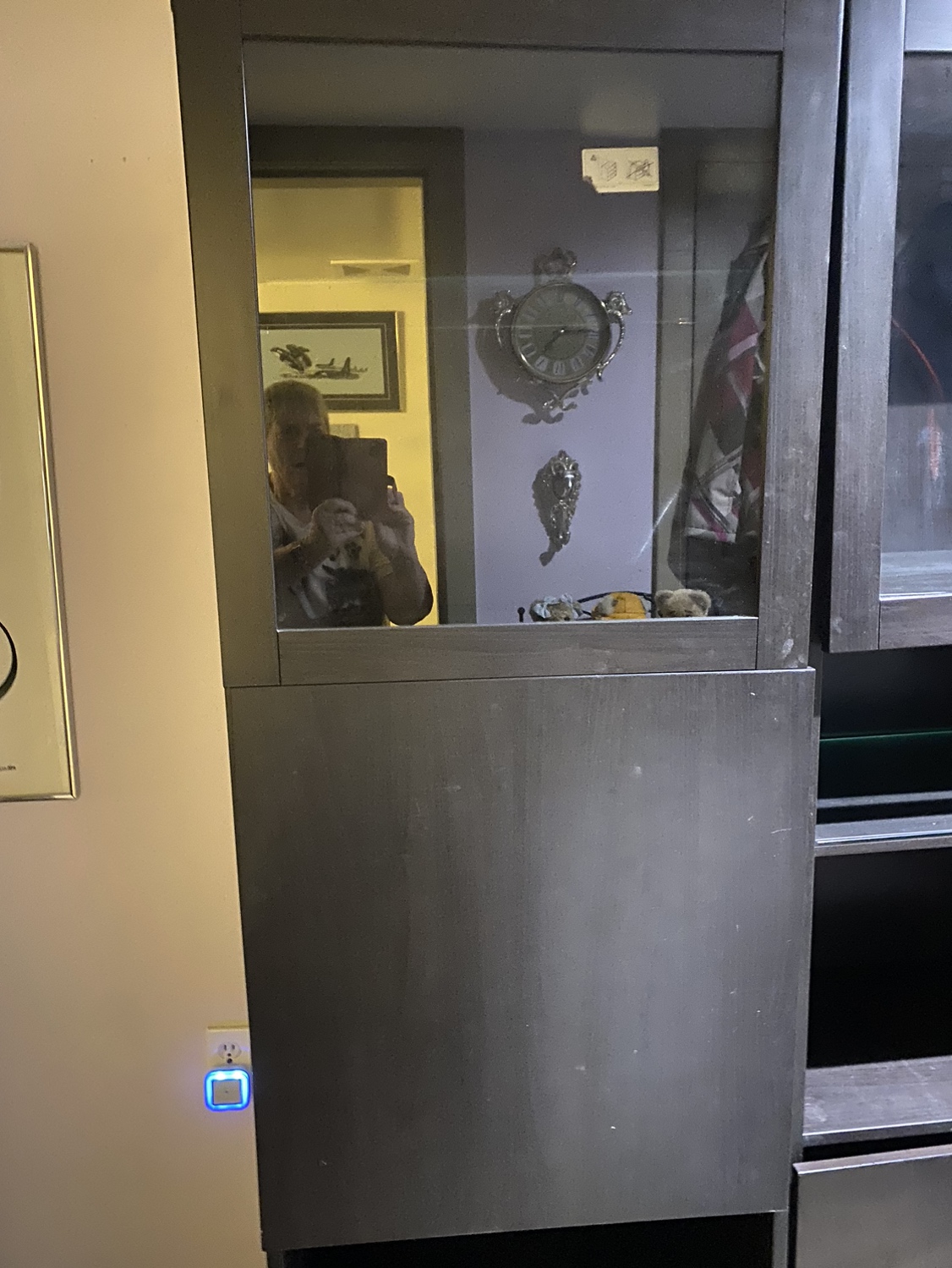 Large Cabinets - Free cycle - photo 4