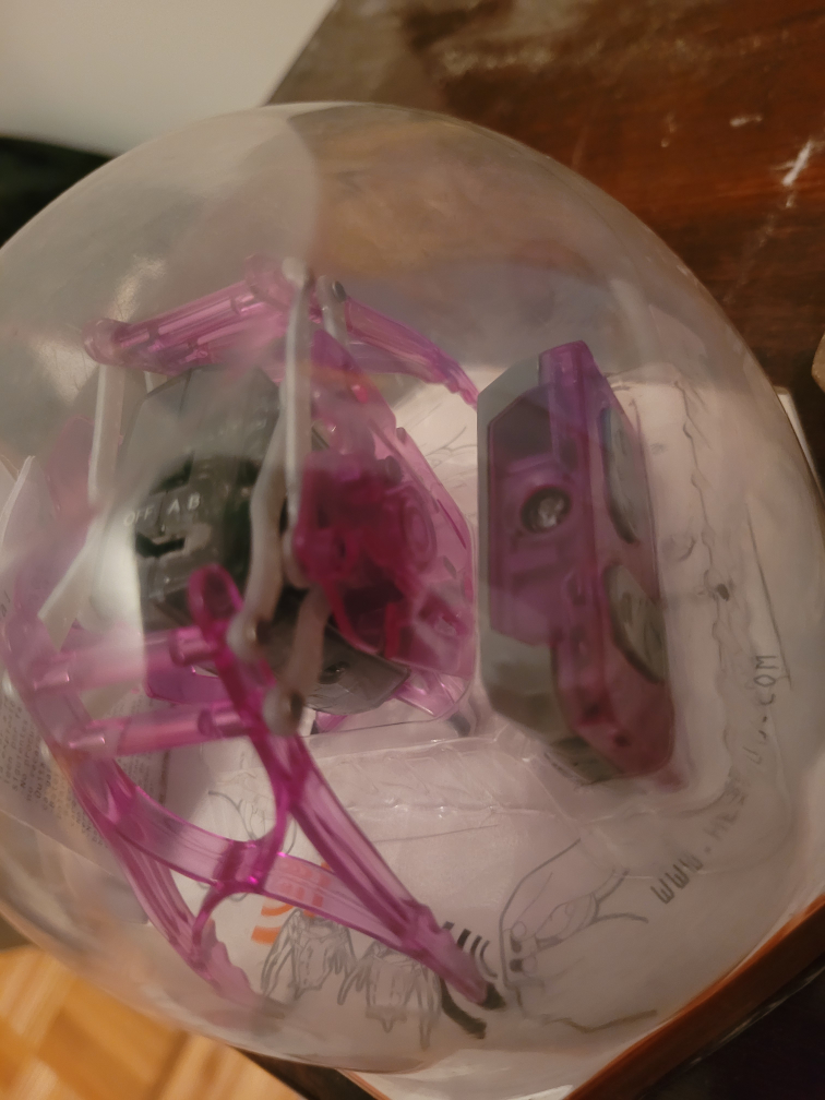 Remote control bug image indicator(2)