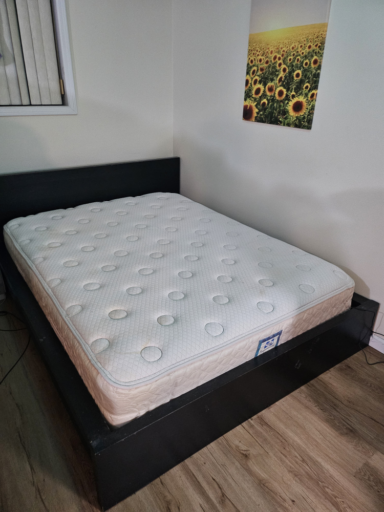Sealy Mattress +Frame - photo 2