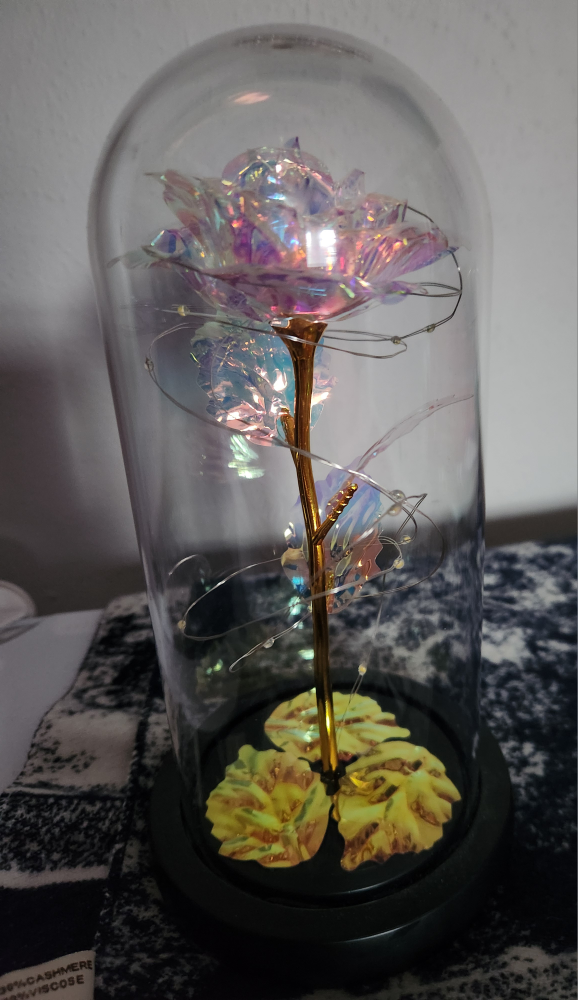 Rose with light 🥕 thumbnail