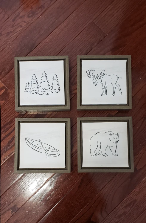 Framed canvas art