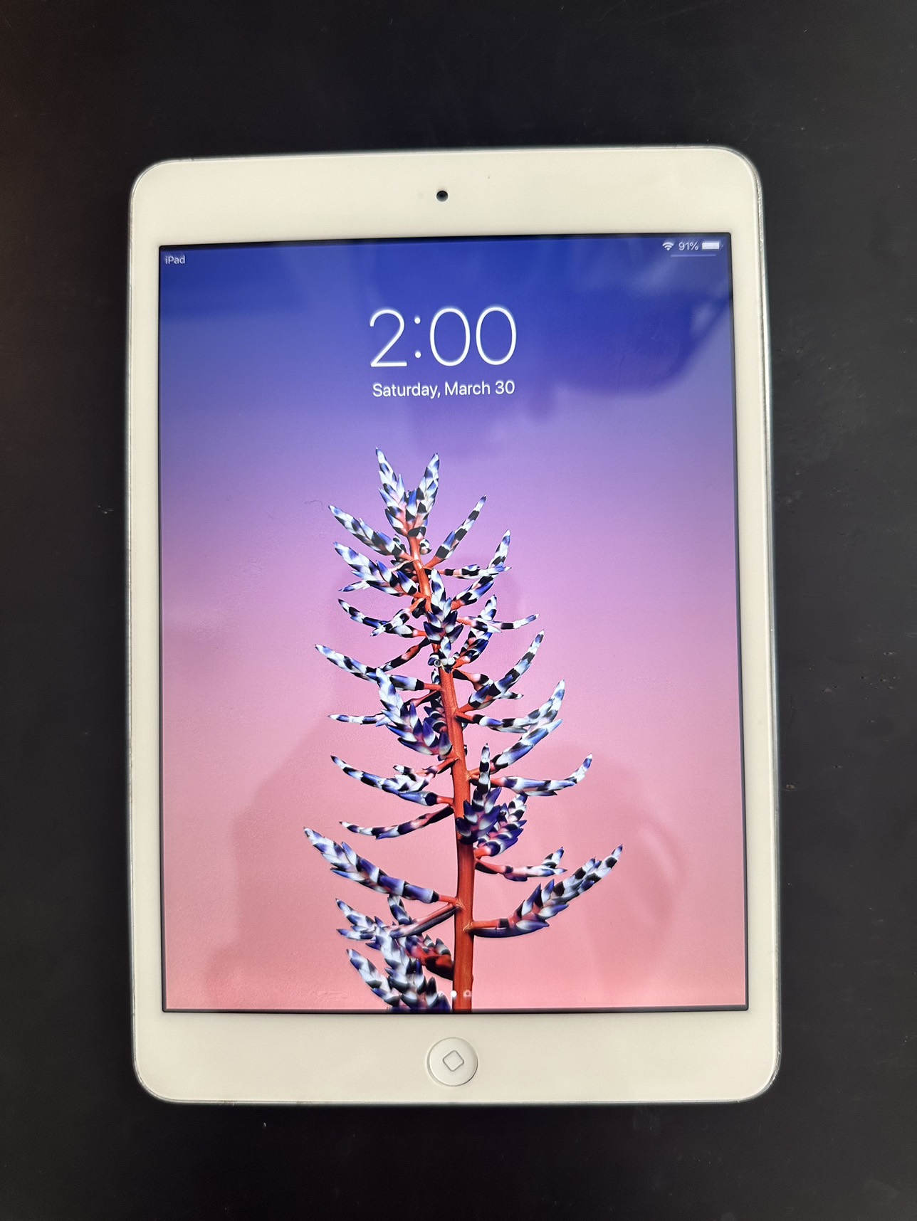 IPAD MINI WHITE