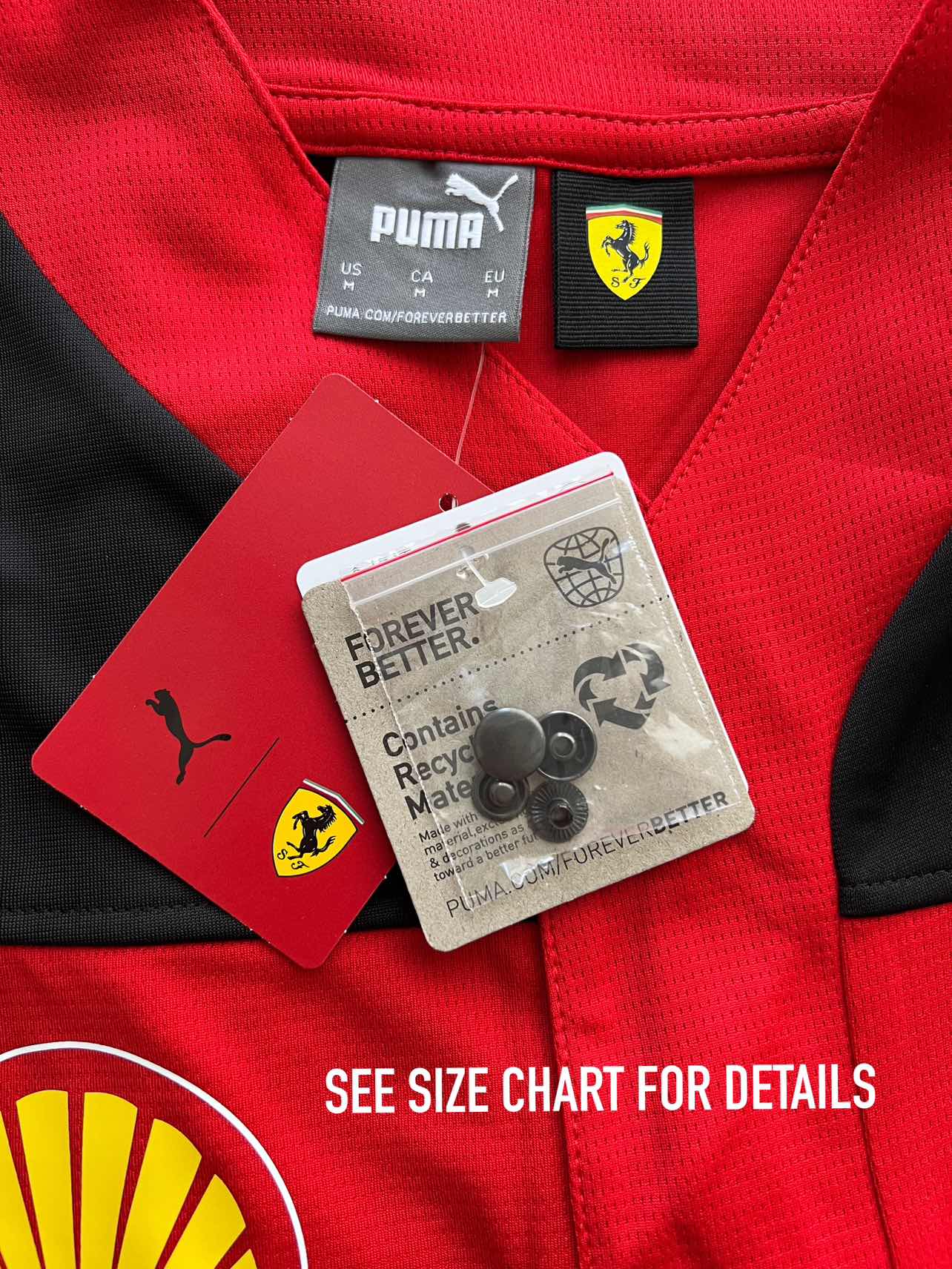 Scuderia Ferrari 2023 Team Replica Men's Baseball Jersey - photo 3