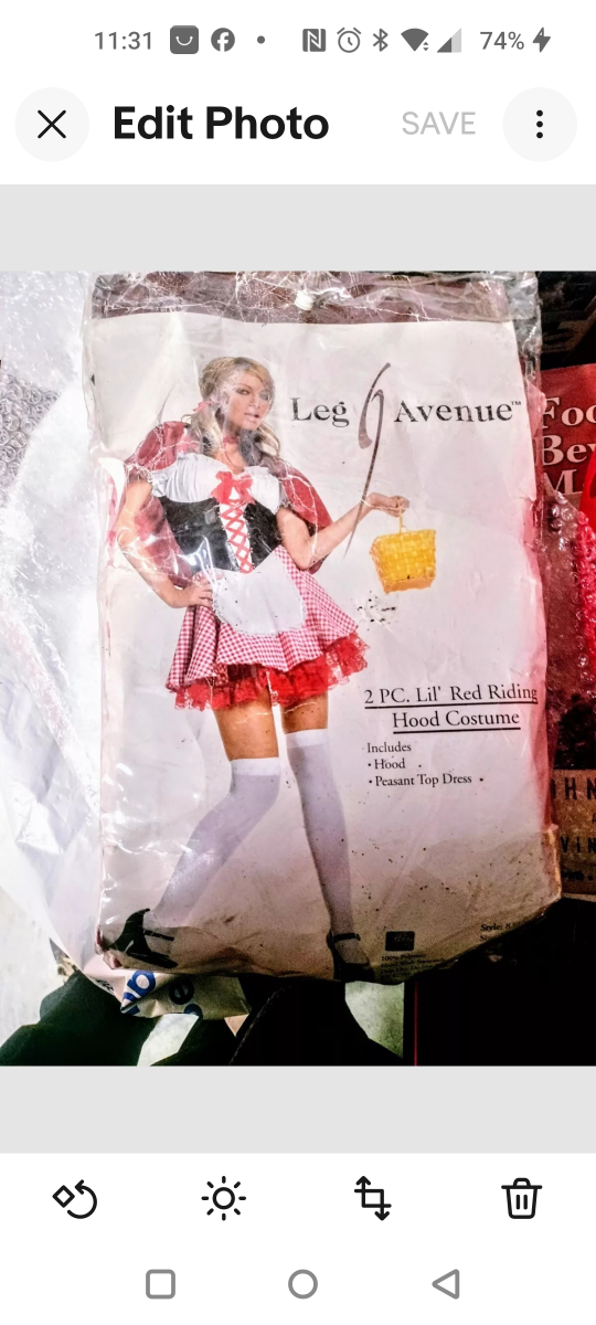 Little Red Riding Hood Costume & Carry Basket Inc. - photo 3