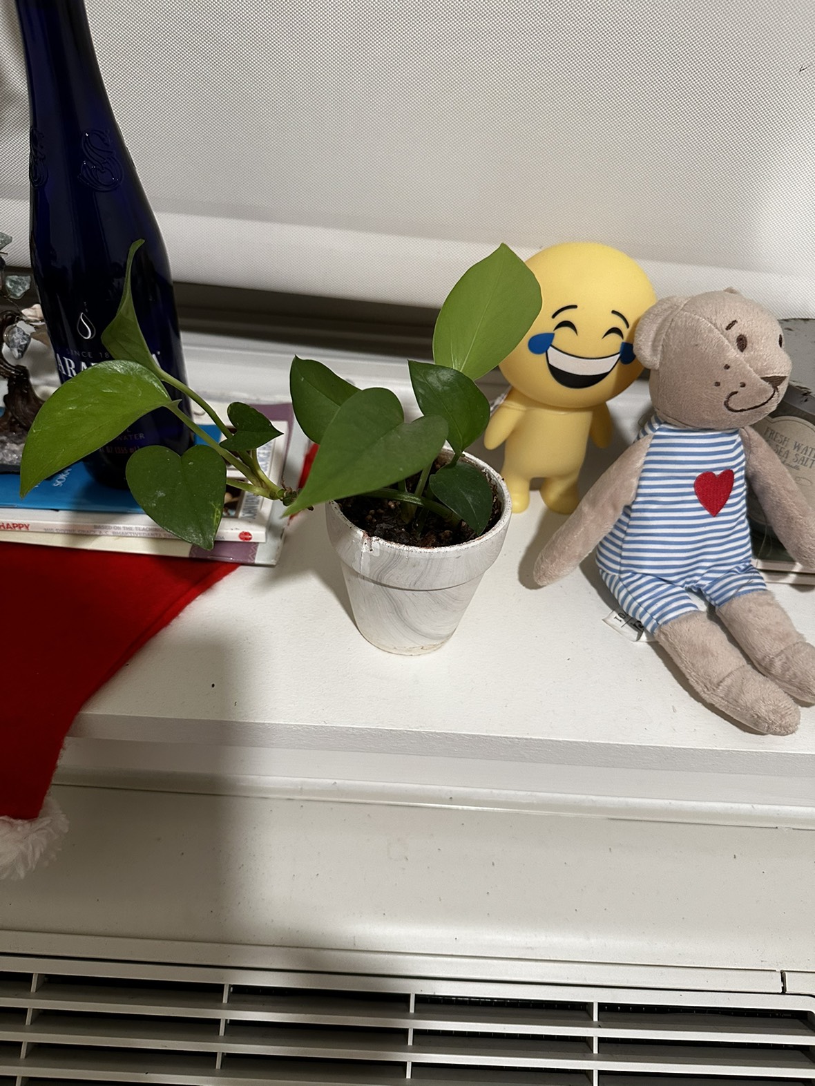 Live plants - photo 4