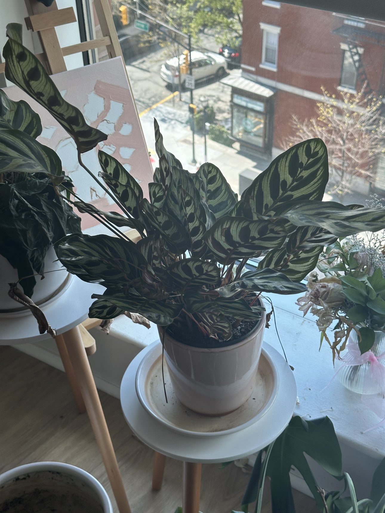 Plants + vase - photo 2