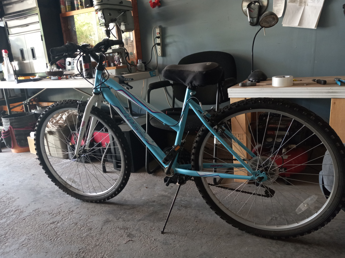 Ladies 18 teen speed mountain bike