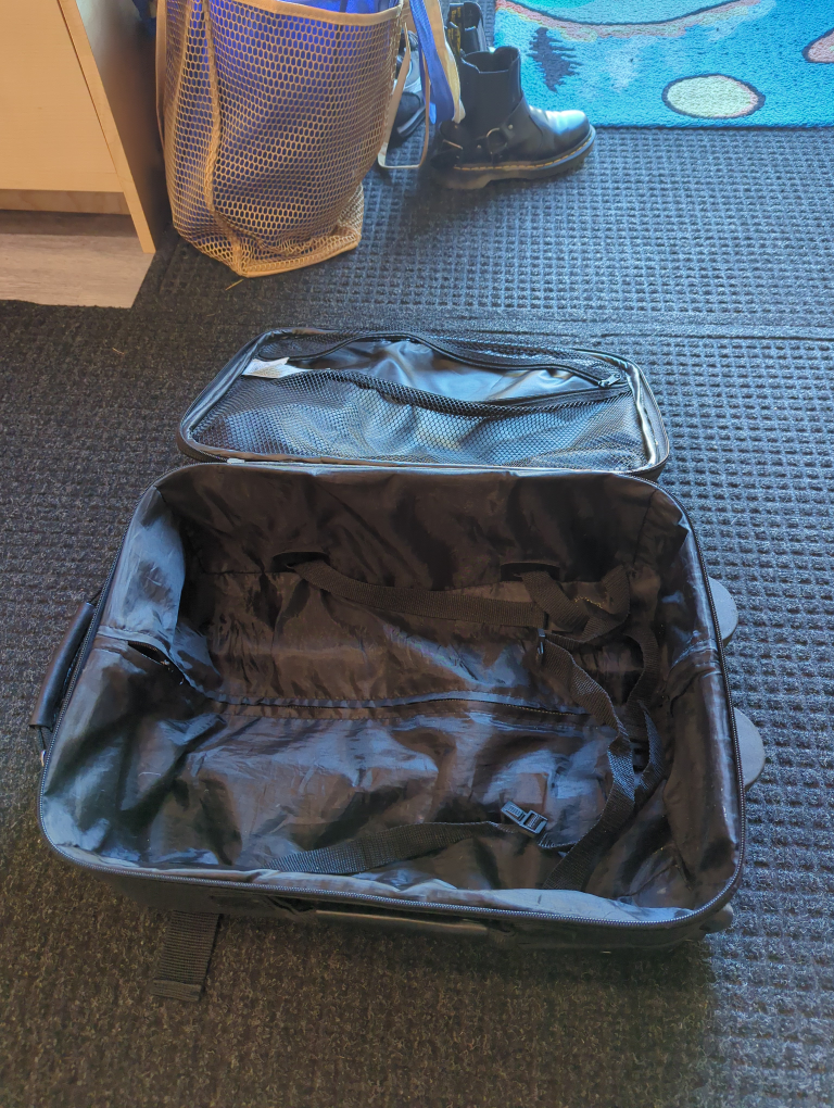 Carryon luggage (Protocol basics) - photo 2