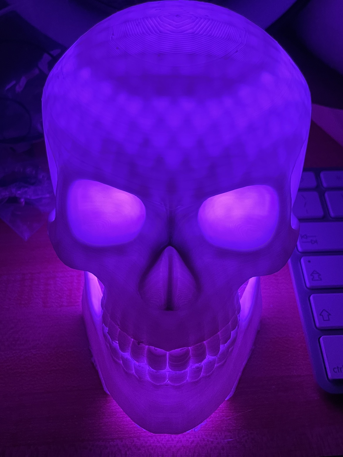 Cool light up Skull with tons of different light modes