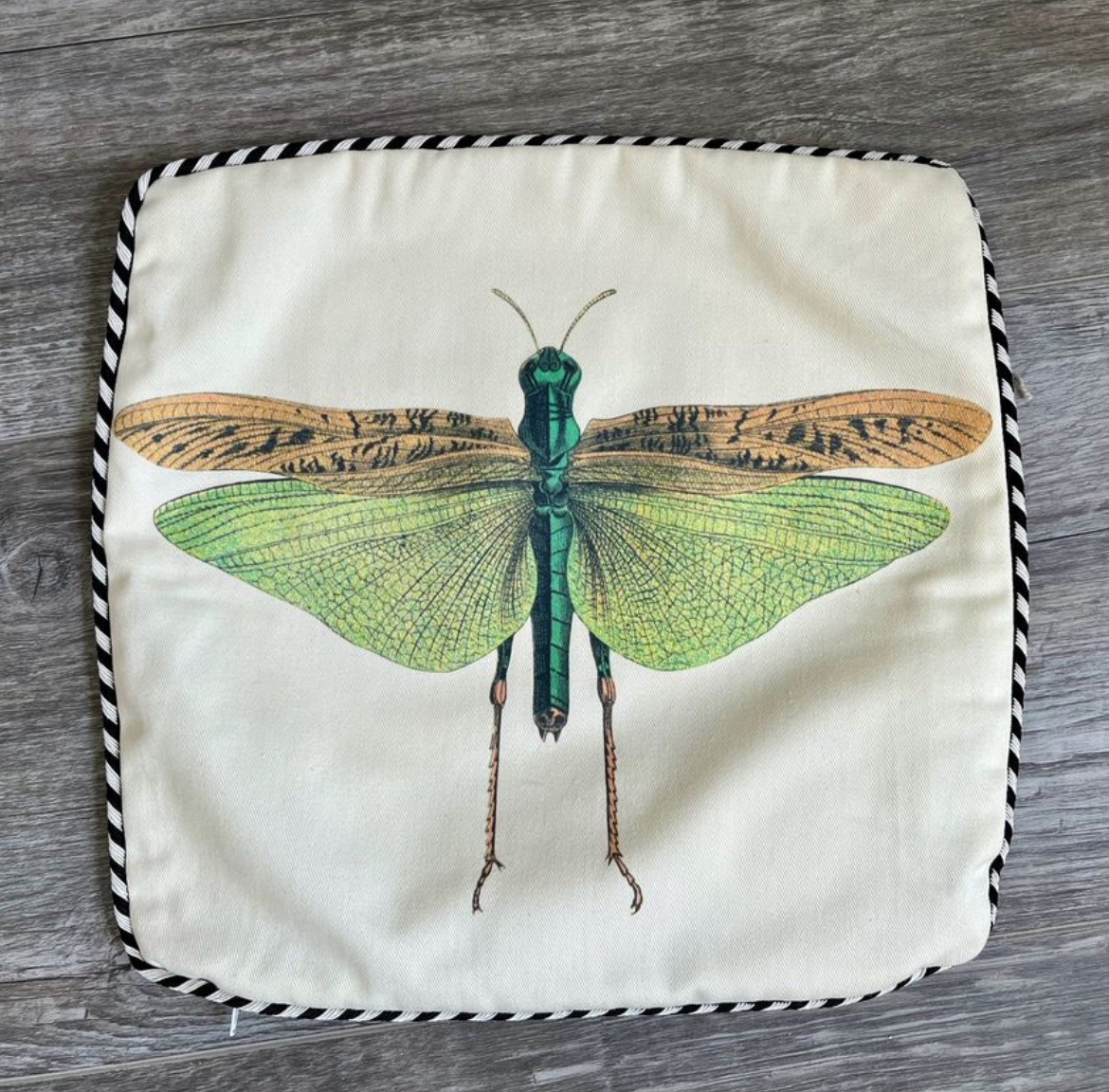 Handmade Dragonfly Cushion Cover thumbnail