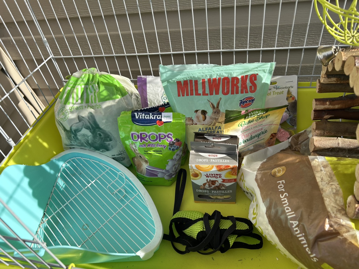 Indoor Bunny Cage With Supplies - photo 2