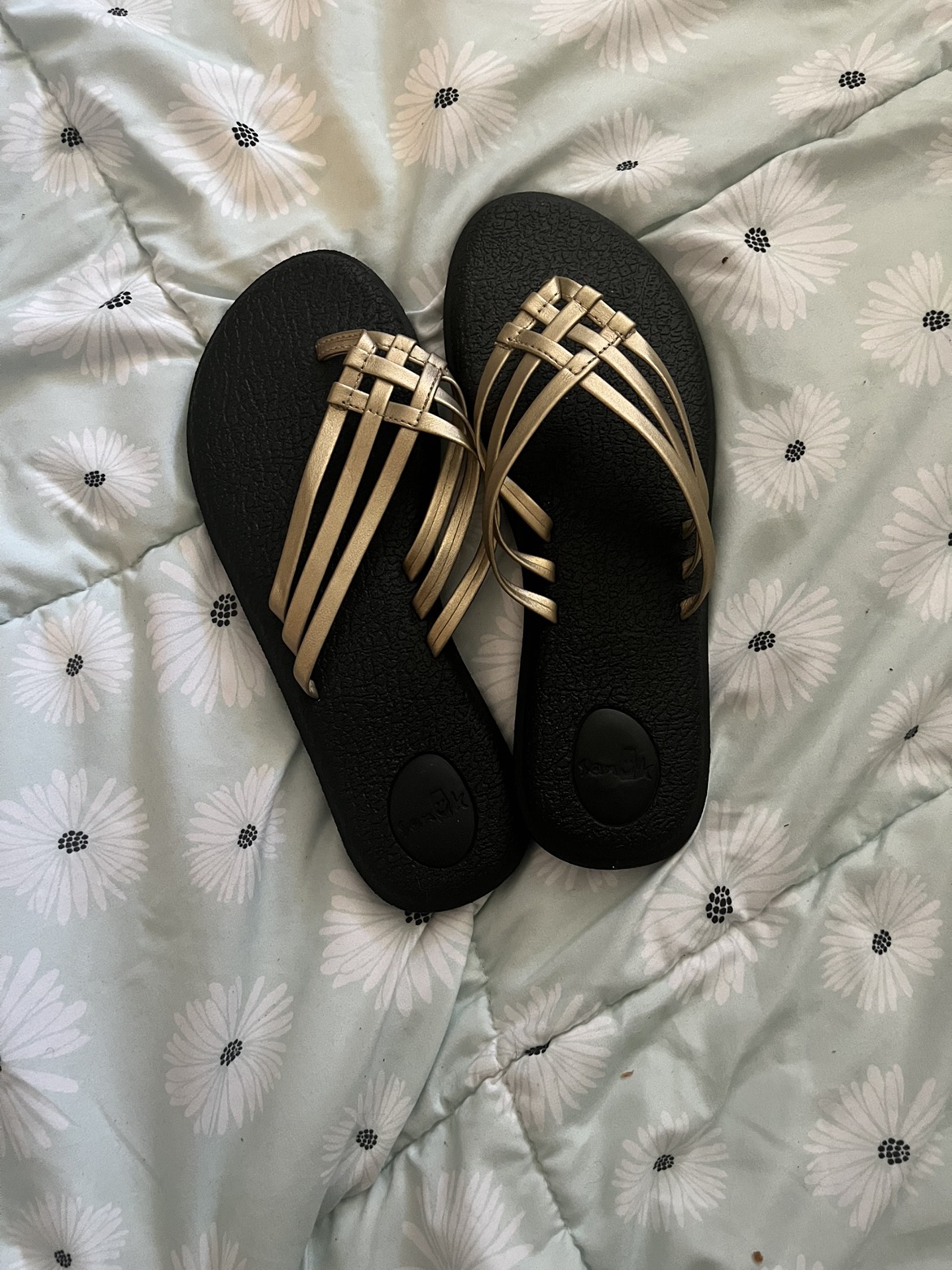 Slippers image indicator(2)