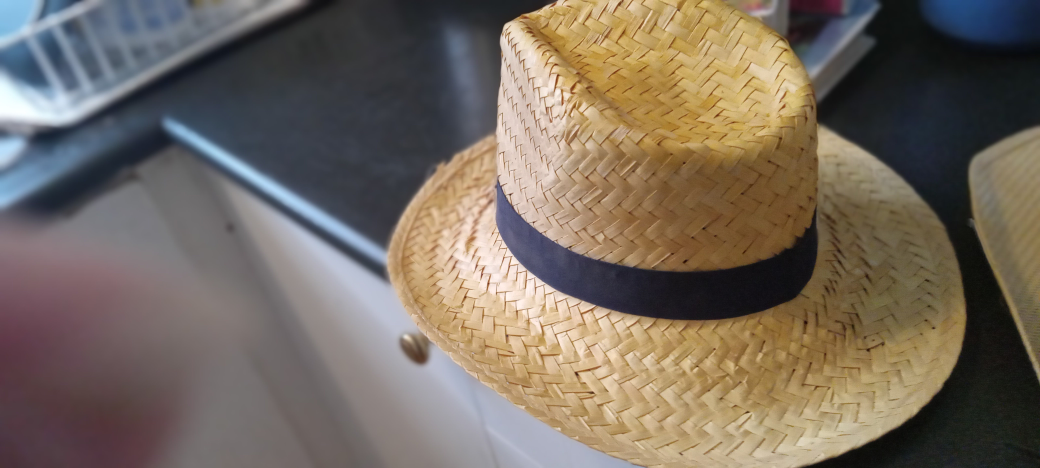 #FREECYCLE 1 cowboy style hats image indicator(3)