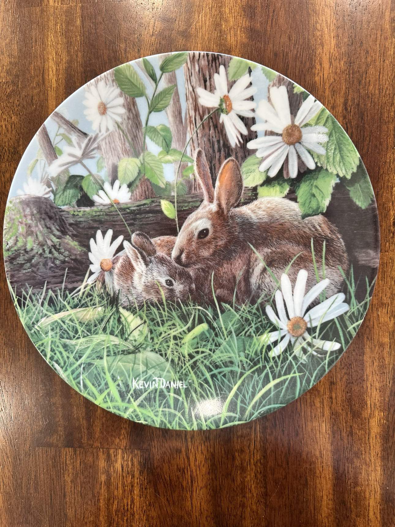 1987 The Rabbit by Kevin Daniel thumbnail
