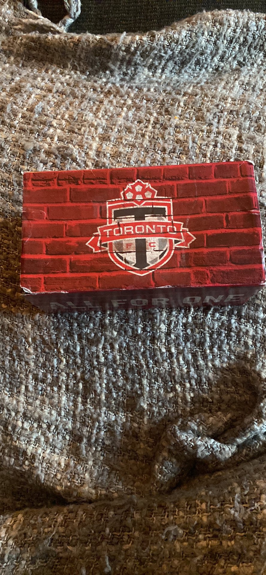Toronto FC MLS Soccer Scarf thumbnail