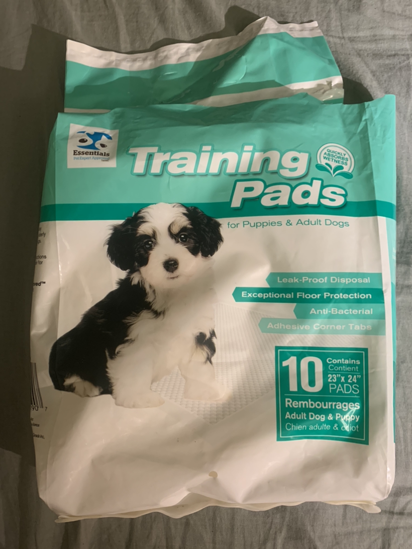 Trainings Pads for Dogs thumbnail