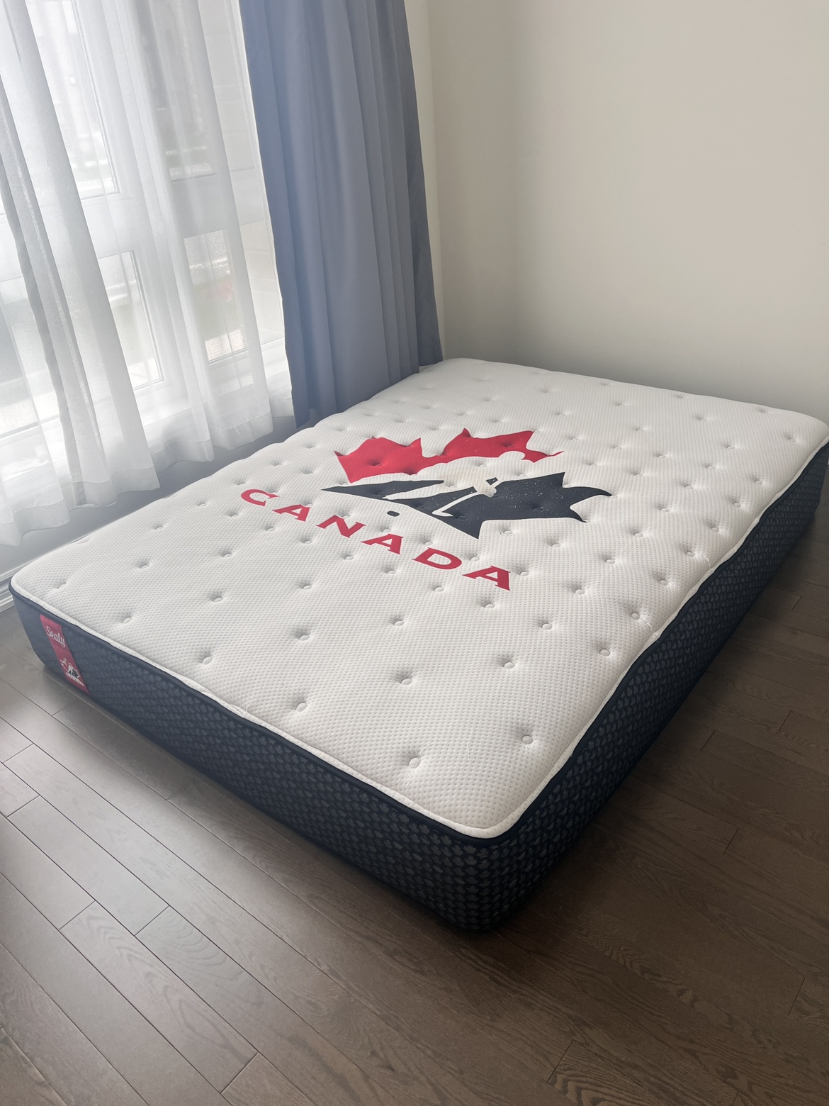 Queen size mattress (Sealy)