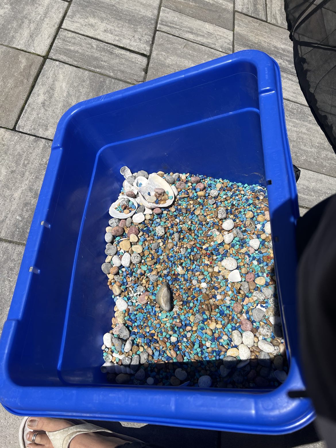 Decoration/ fish tank stones image indicator(2)