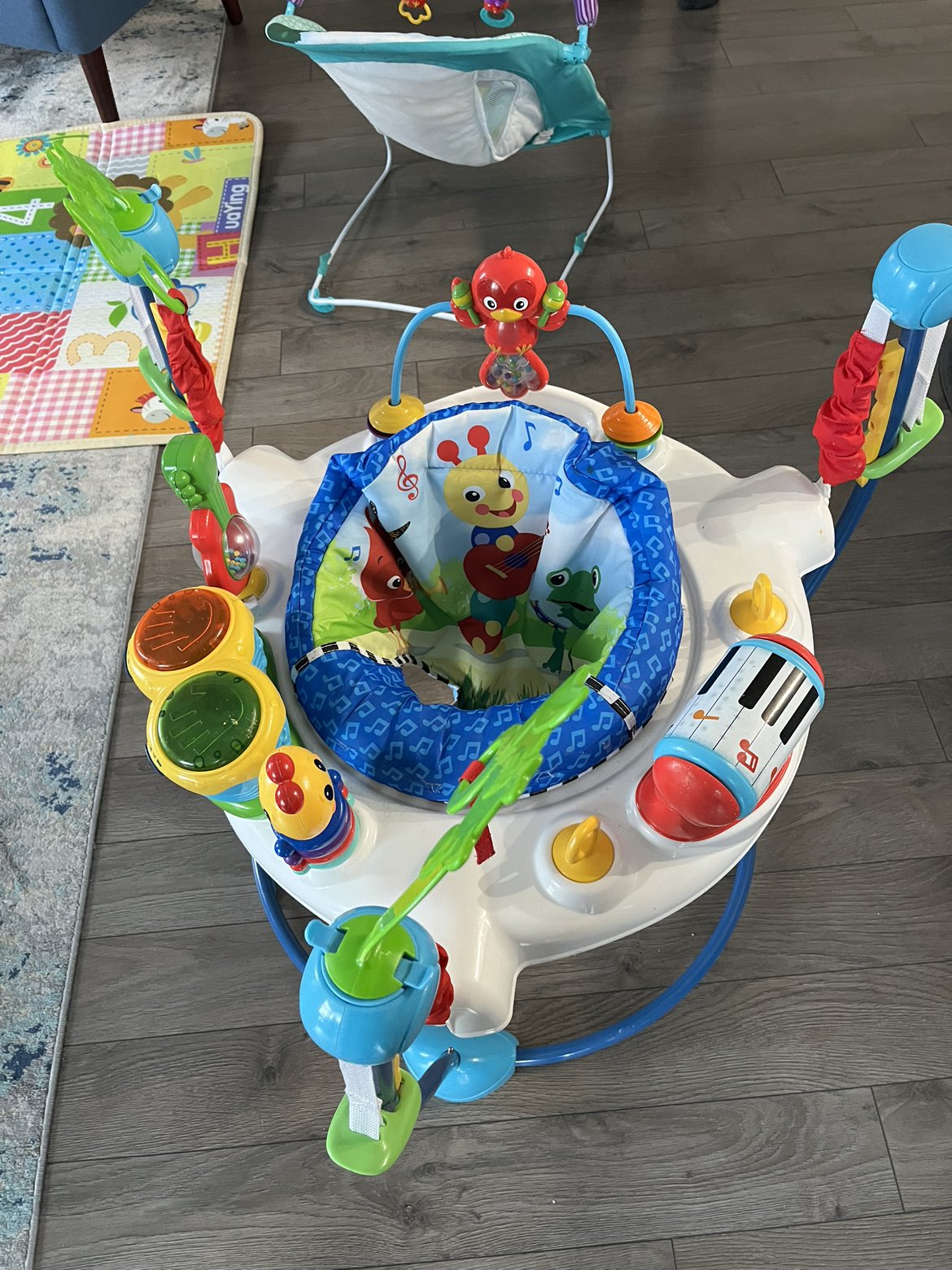 Baby Einstein jumper and bouncer