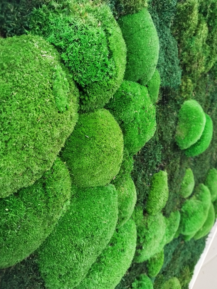 moss art frame image indicator(2)