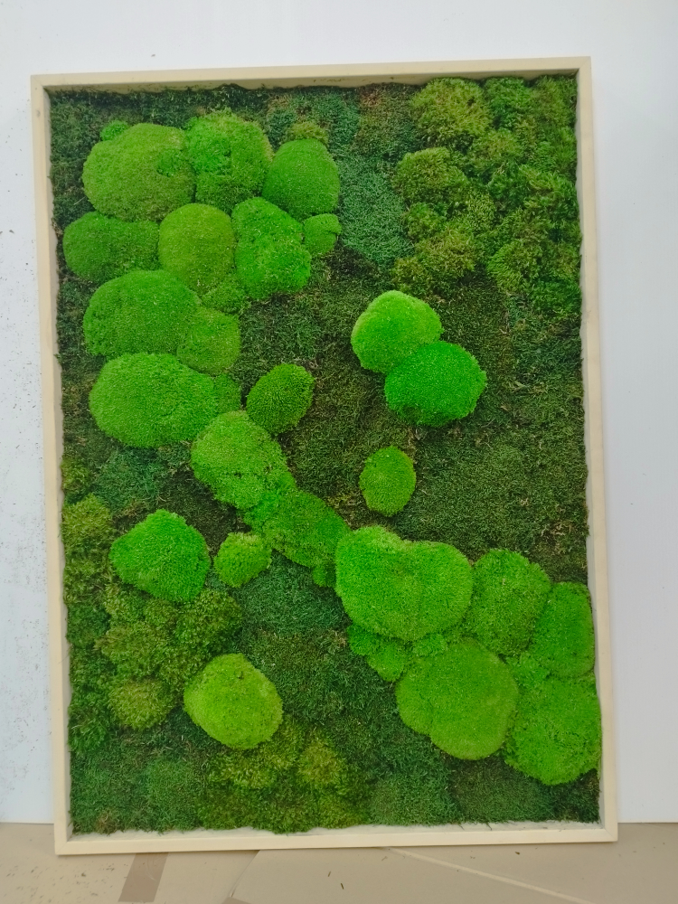 moss art frame image indicator(3)