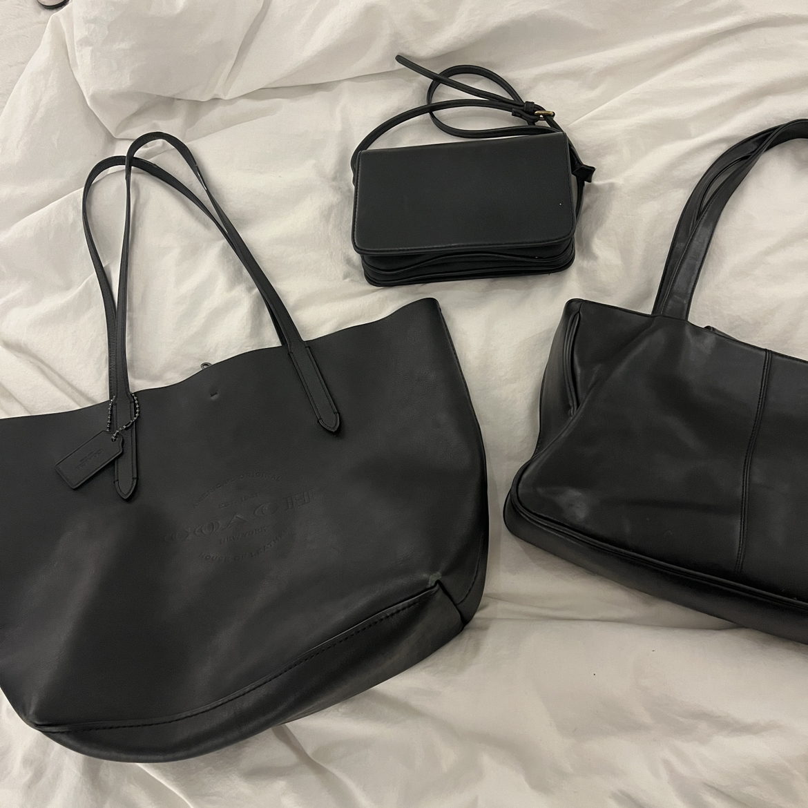 Coach,Brandy Melville, Kenneth Cole bag bundle