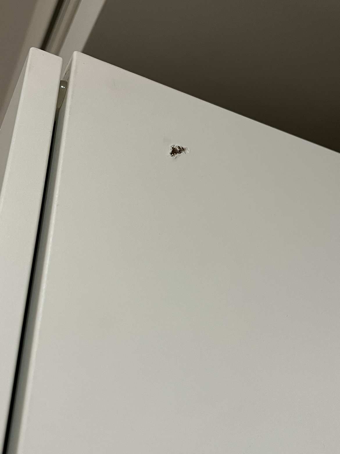 IKEA Pantry - photo 5