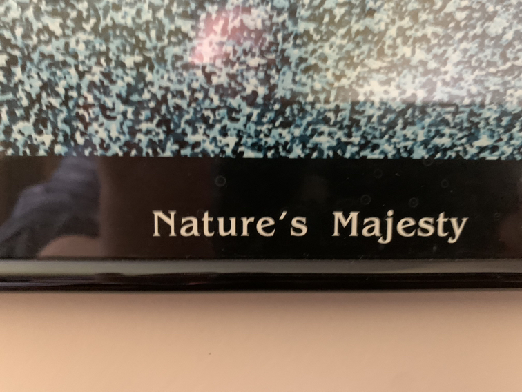 Vintage Framed 3D Hidden Illusion Art -Collectible-2 available image indicator(3)