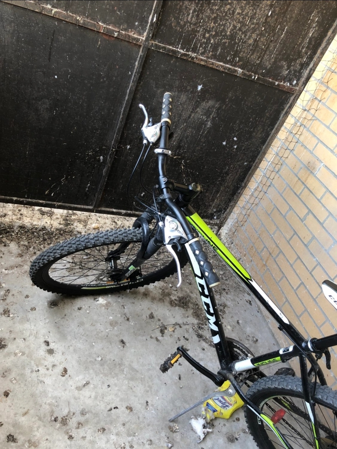 Adult bicycle