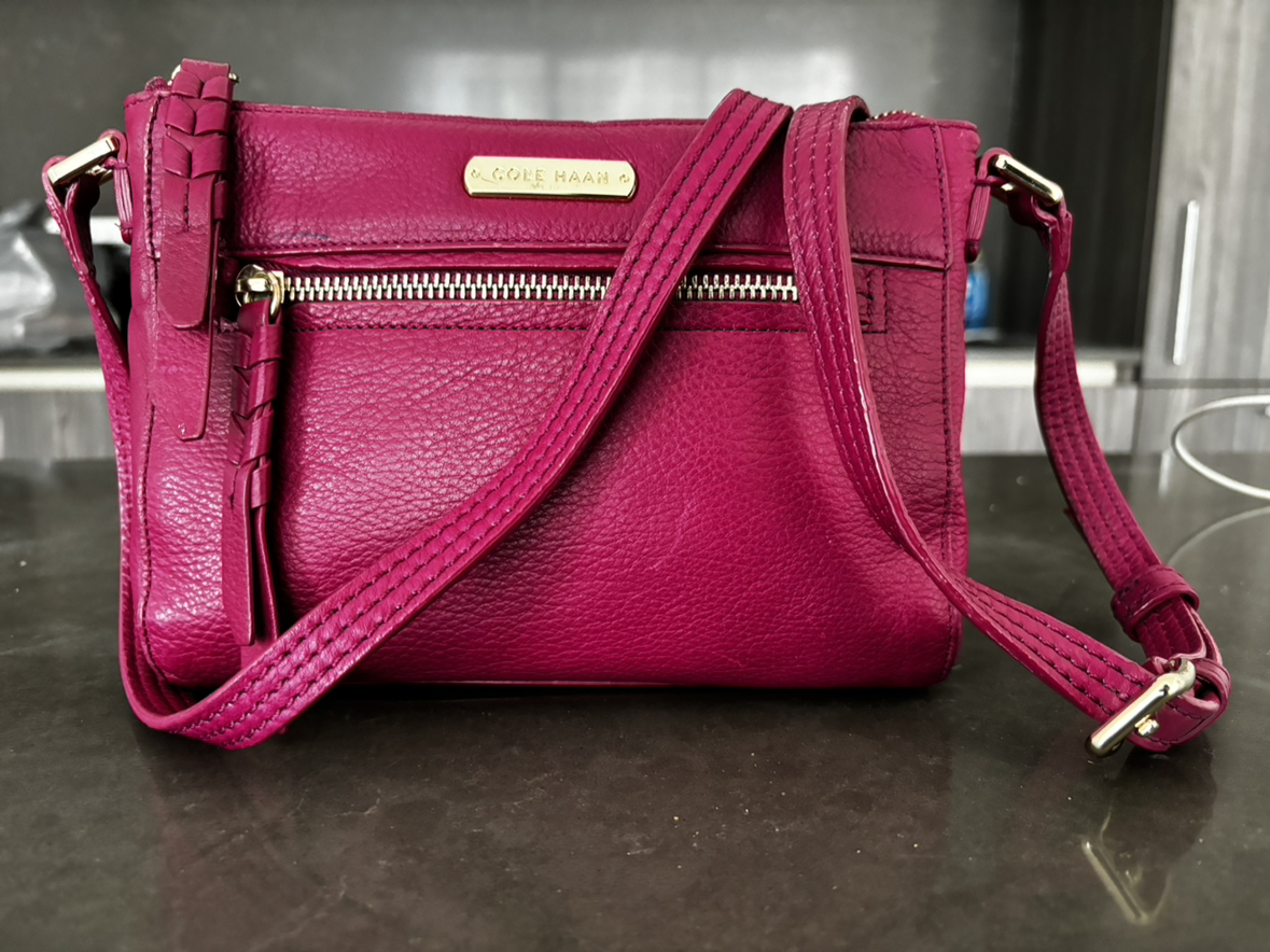 Authentic Cole Haan leather crossbody bag image indicator(2)