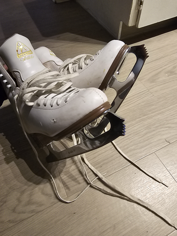 skiing shoes image indicator(2)