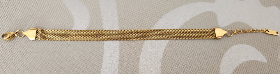 Stainless Steel bracelet #freecycle 🥕