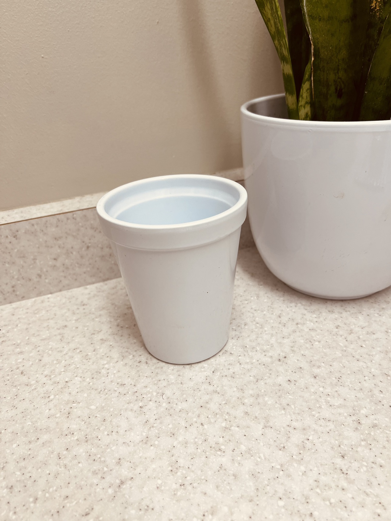 Flower vase and small pant pot image indicator(2)