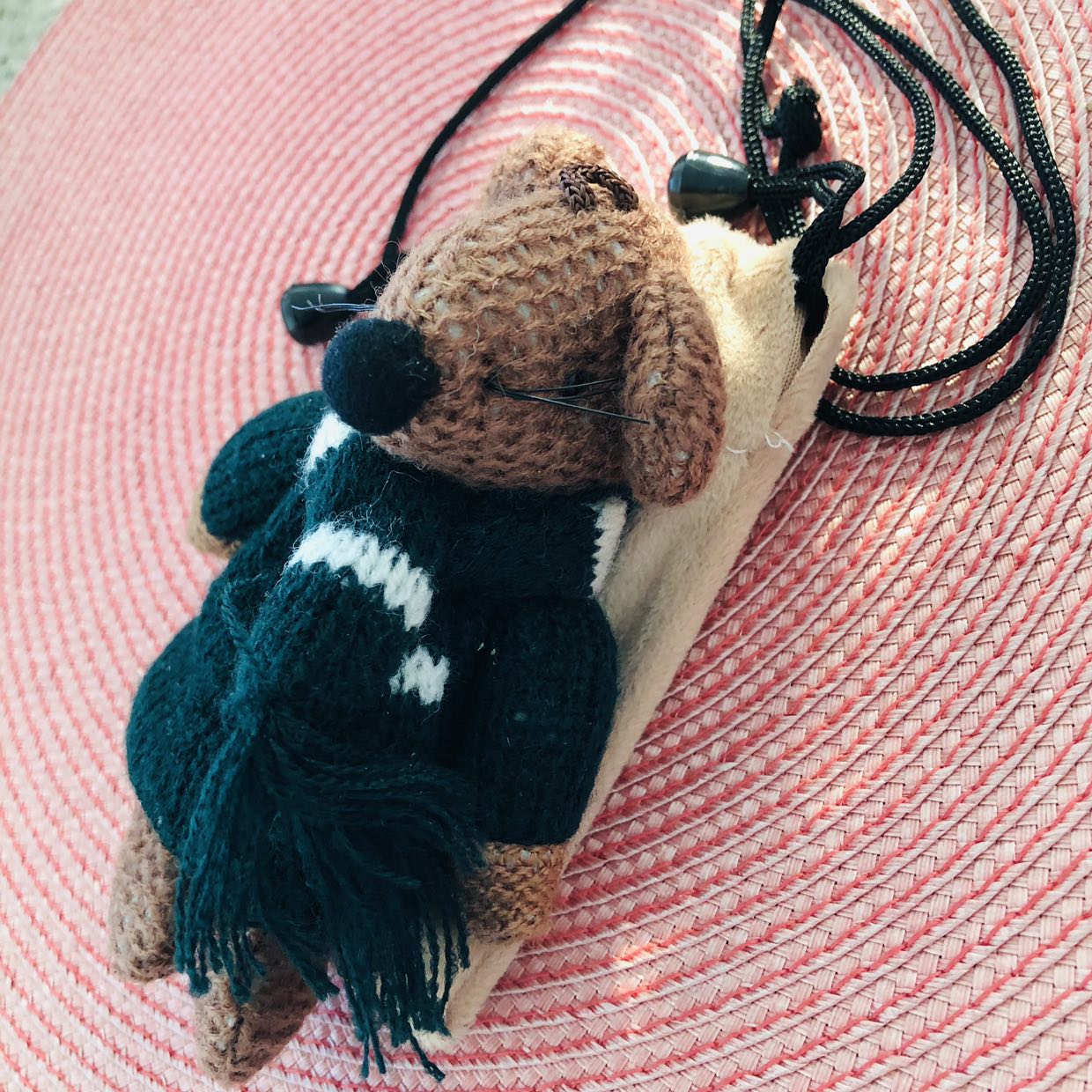 Mouse pouch image indicator(8)