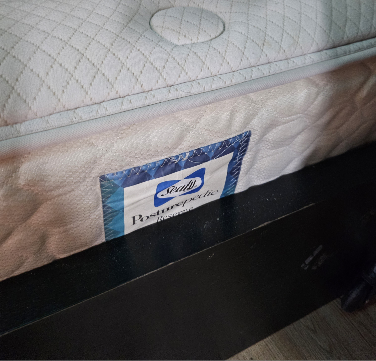 Sealy Mattress +Frame