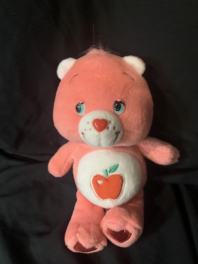 $40 Rare Smart care bear 9” (2004)