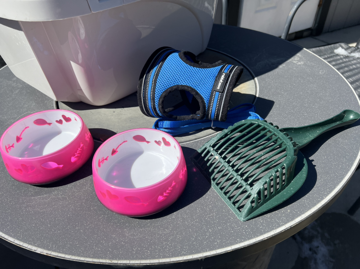 Cat accessories - photo 2