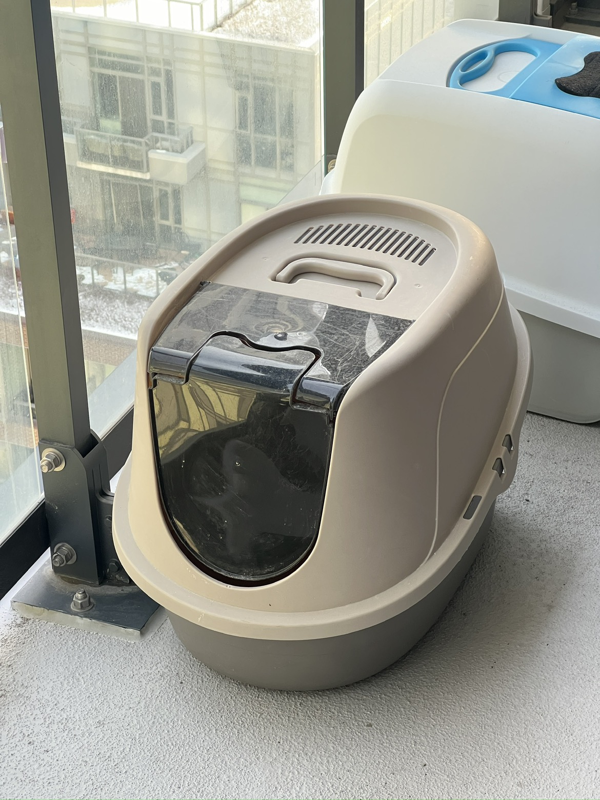 Litter Box for Cat