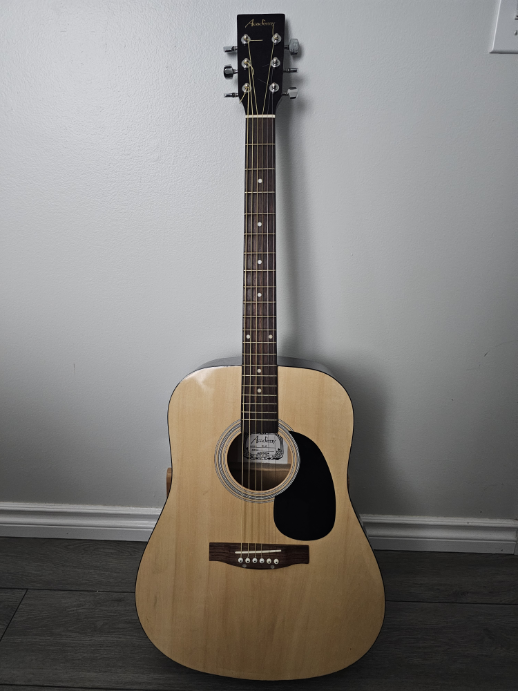 acoustic guitar (academy)