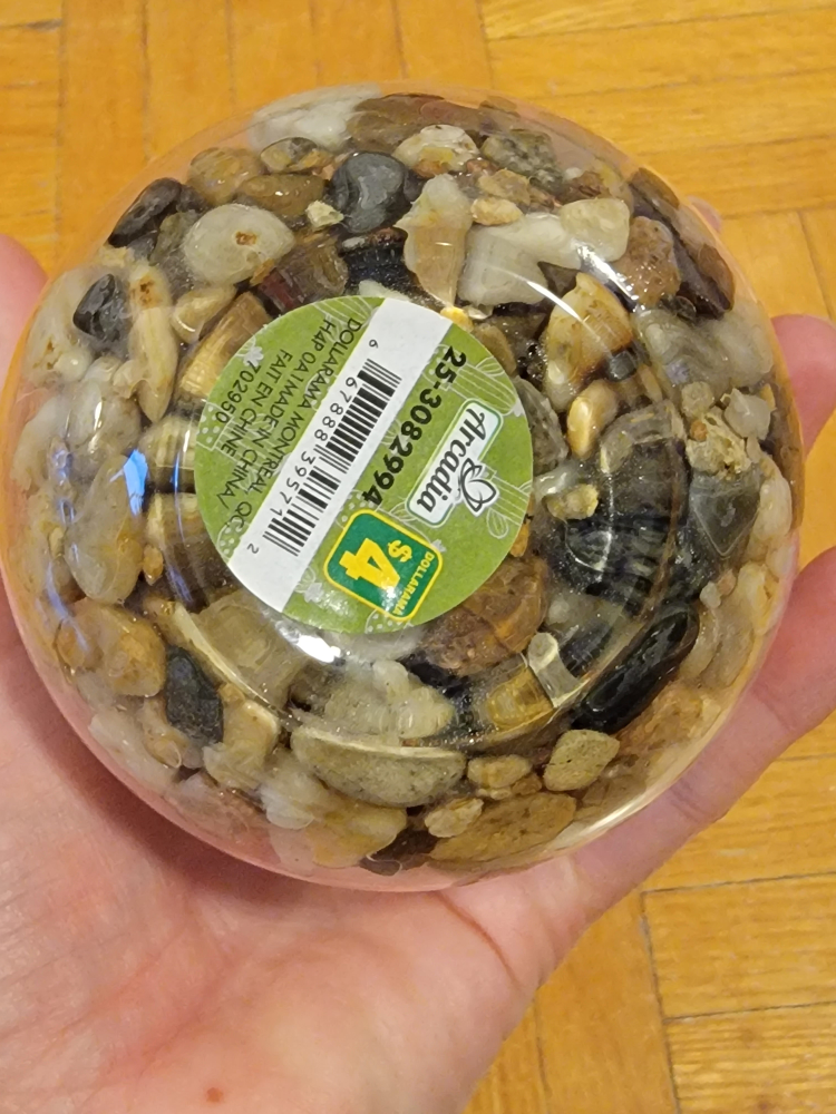 🥕Artificial Succulent plant and vase image indicator(4)