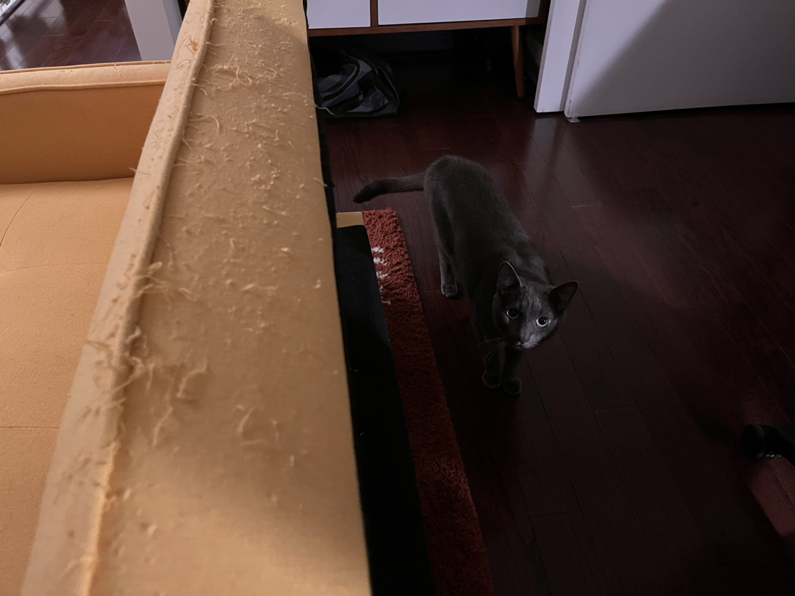 Yellow Futon/Couch - photo 3