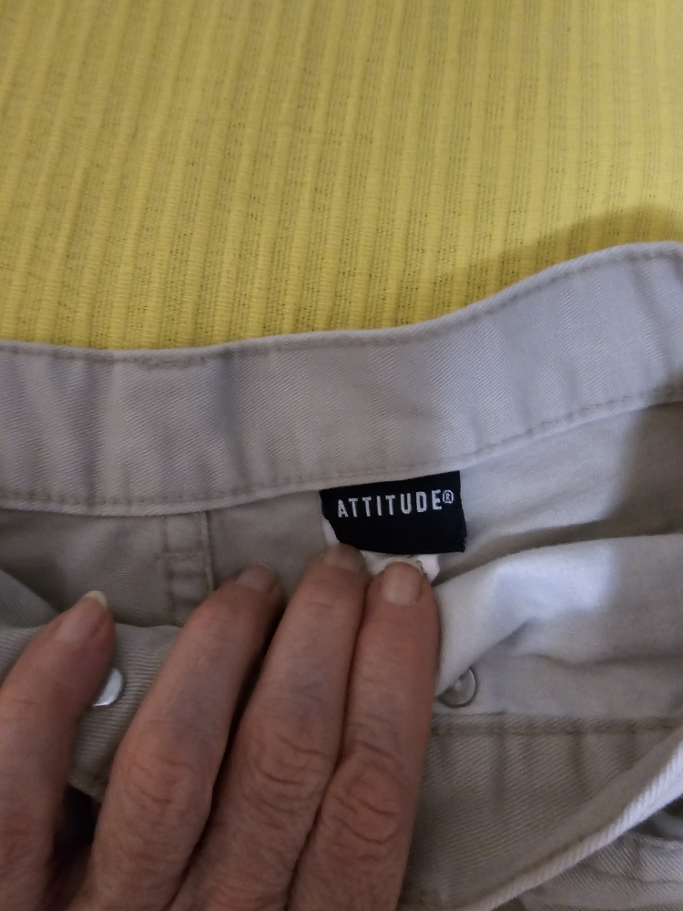 ATTITUDE Pants - photo 4