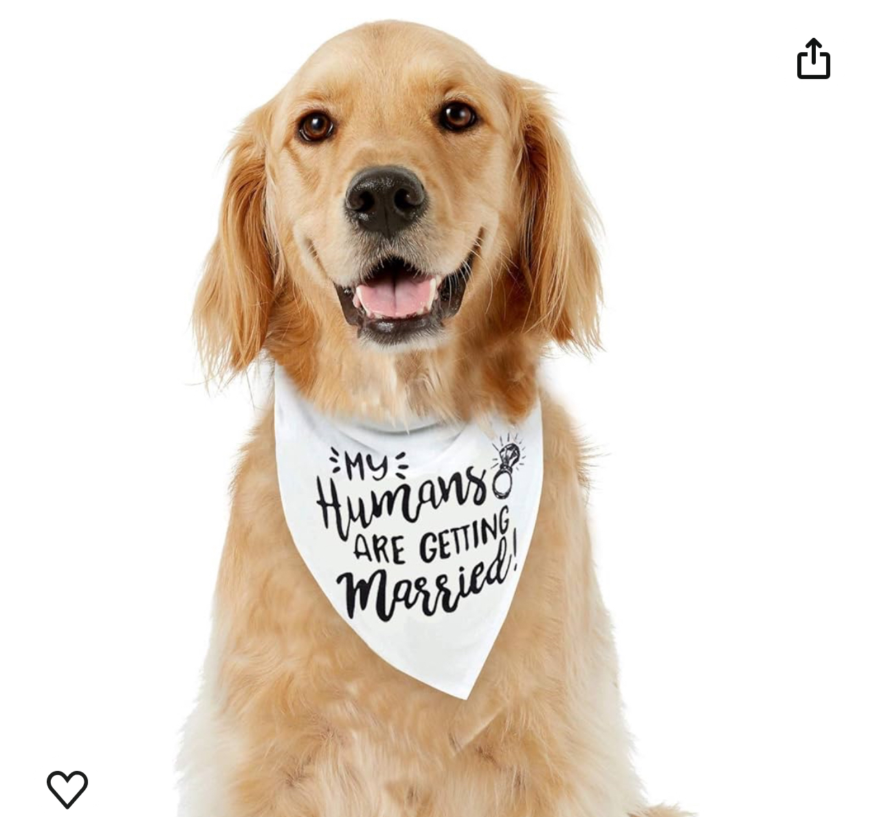 Dog Scarf; Wedding Scarf (NEW) image indicator(2)